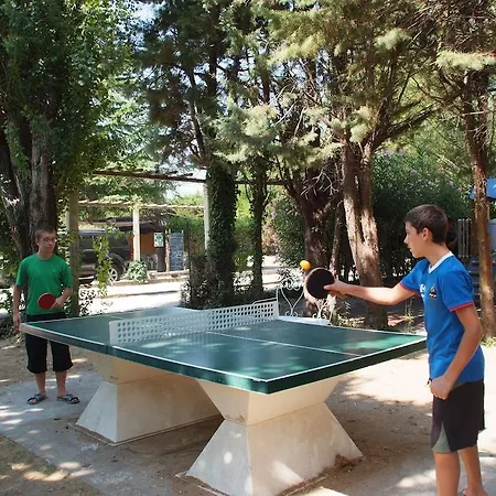 Camping Camping La Barque